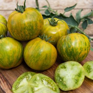Tomate Green Zebra - BIO